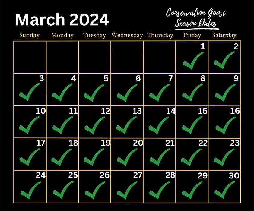Arkansas Duck Hunting Guides Waterfowl Outfitters